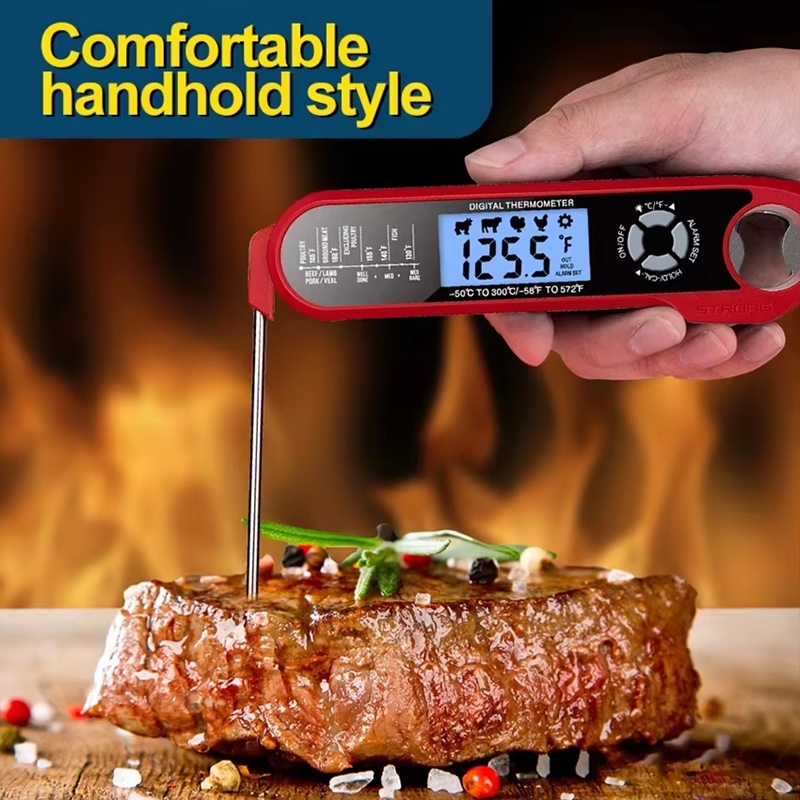 Meat Thermometer Dual-Probe Di - Kitchen Baking Utensil ulasan dan harga